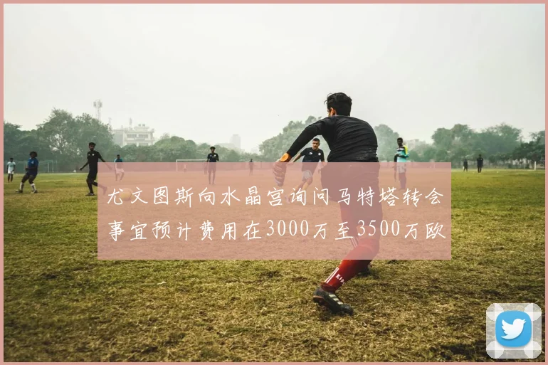 尤文图斯向水晶宫询问马特塔转会事宜预计费用在3000万至3500万欧元之间