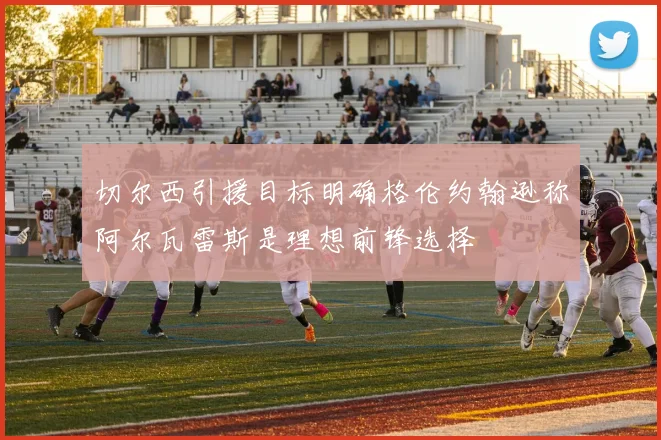切尔西引援目标明确格伦约翰逊称阿尔瓦雷斯是理想前锋选择
