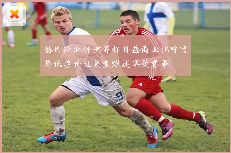 赫内斯批评世界杯日益商业化呼吁降低票价让更多球迷享受赛事