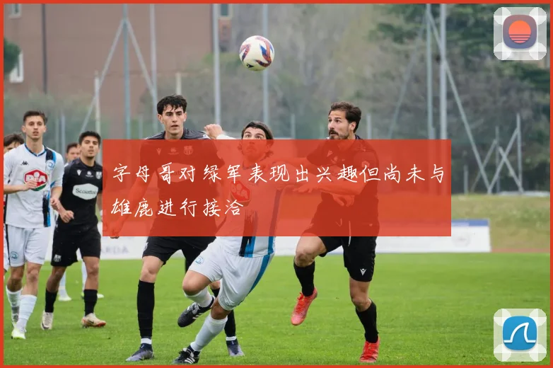 字母哥对绿军表现出兴趣但尚未与雄鹿进行接洽